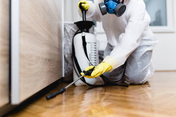 Best Bed Bug Extermination  in Eastpoint, FL