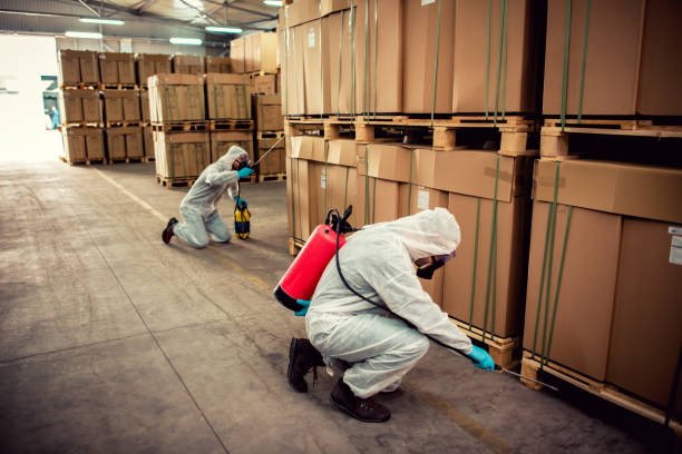 Best Wasp Removal Services  in Eastpoint, FL