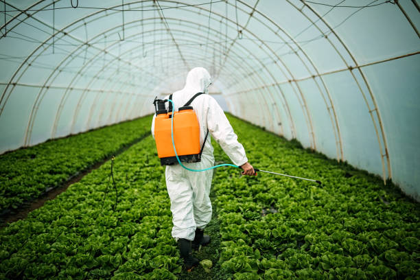 Best Pest Control for Businesses  in Eastpoint, FL