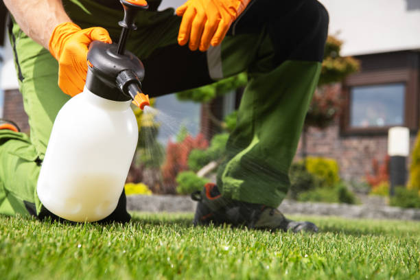 Best Commercial Pest Control Services  in Eastpoint, FL