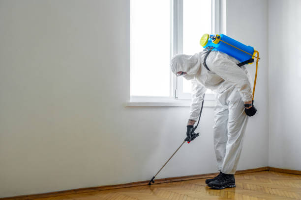 Best Wildlife Control Services  in Eastpoint, FL
