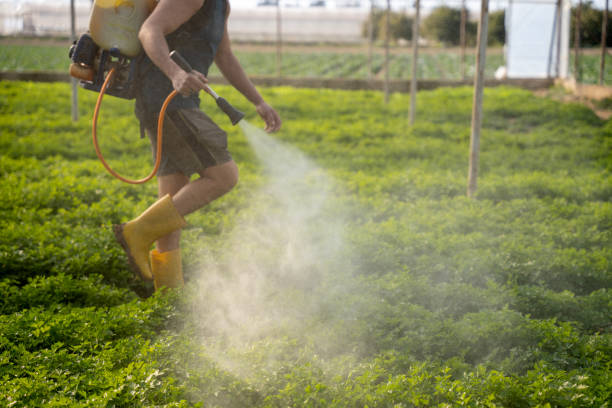 Best Best Pest Control Companies  in Eastpoint, FL