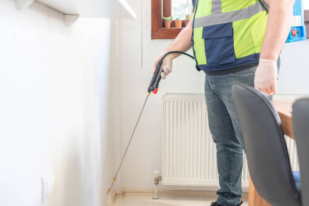 Best Ant Control Services  in Eastpoint, FL