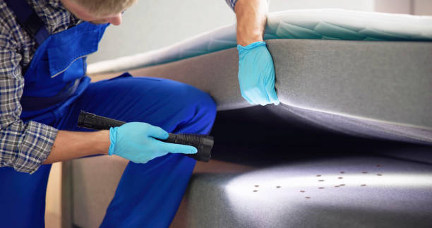 Best Pest Inspection Near Me  in Eastpoint, FL