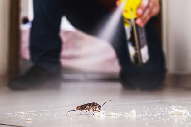 Best Termite Control Services  in Eastpoint, FL