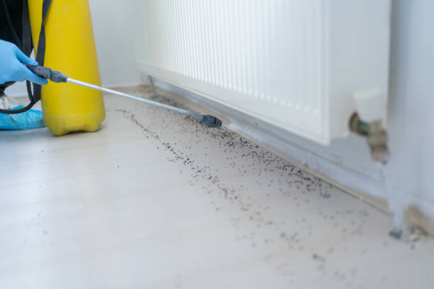 Best Affordable Exterminators  in Eastpoint, FL